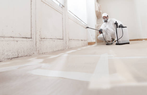 24/7 Emergency Mold Testing experts in Weston, NJ