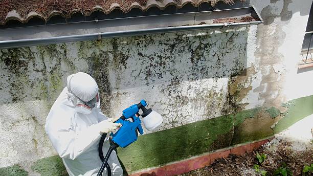 Trusted Mold Testing service in Weston, NJ - Cheap Mold Removal